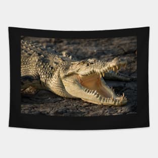 Saltwater Crocodile, Kakadu National Park Northern Territory Tapestry