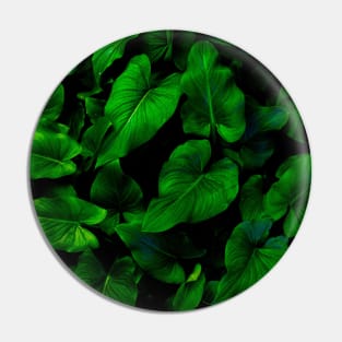 Dark Green Lilly Leaves Pin