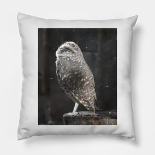 Burrowing Owl Pillow