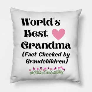 World's best grandma, Fact checked by grandchildren Pillow