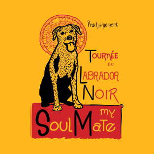 Funny Labrador Retriever Owner Gift Labrador Art T-Shirt