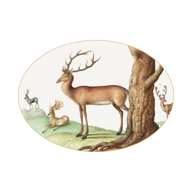 Four Types of Stags (1575–1580) by WAITE-SMITH VINTAGE ART