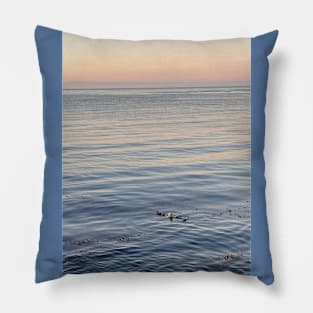 Can you see the Sea Otters? Pillow