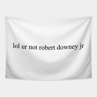 lol ur not robert downey jr Tapestry