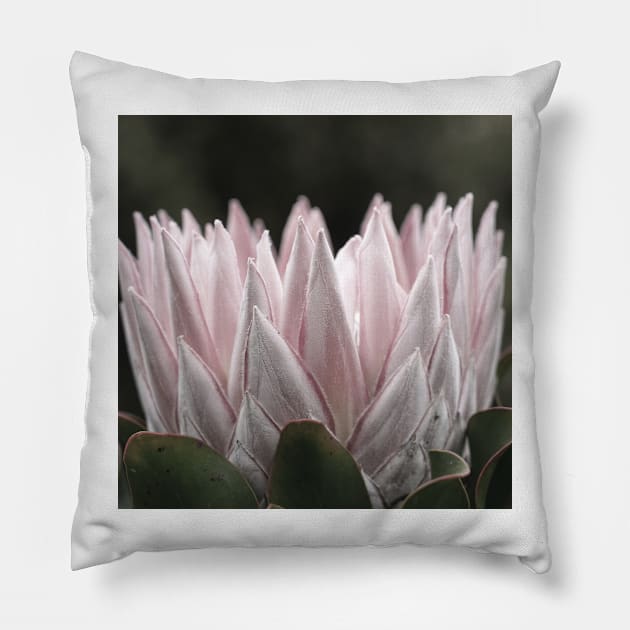 Perfume of the yard Pillow by RoseAesthetic