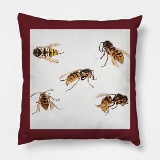 Studies of wasps by Julie de Graag (1877-1924). Pillow