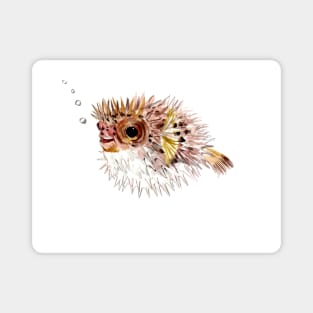 Pufferfish , coral fish, cute fish art, cute animals, animals, animal art Magnet