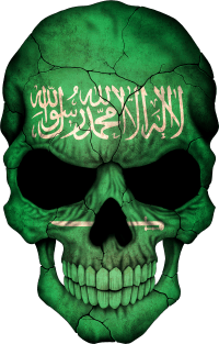 Saudi Arabian Flag Skull Magnet