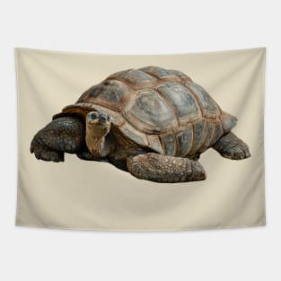 Giant Tortoise Tapestry