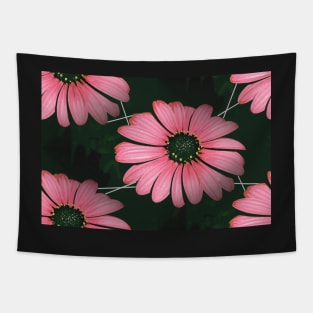 Gerbera, Pink And Black Tapestry