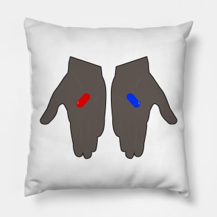 Choose Wisely Pillow