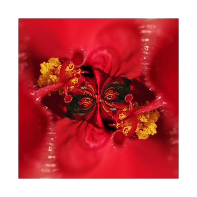 doodles and design based on a red and gold hibiscus flower by mister-john