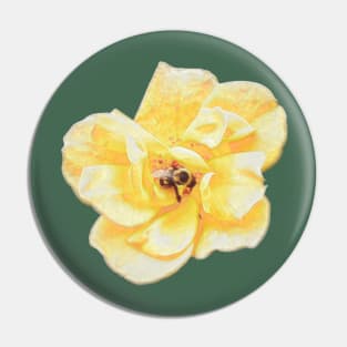 On a Yellow Rose Pin