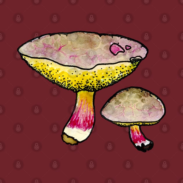 Red Cracking Bolete by ThisIsNotAnImageOfLoss