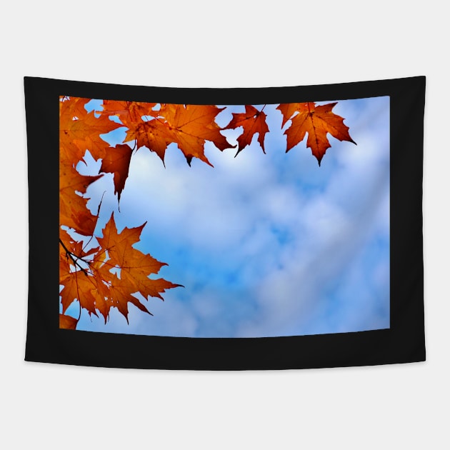 Autumn Maple Leaves Framing the Cloudy Sky Tapestry by 1Redbublppasswo