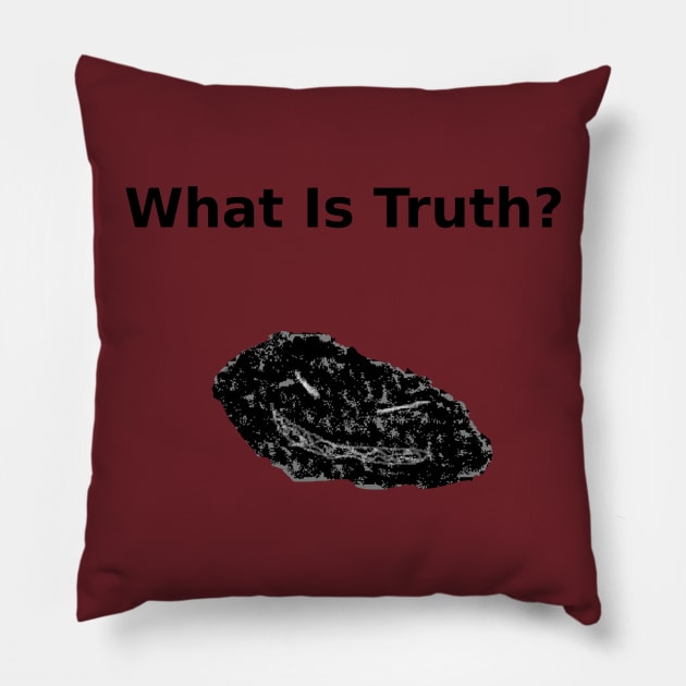 The Rauschmonstrum, What is Truth? Pillow by Rauschmonstrum