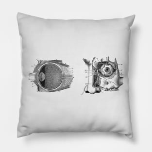 Human Eye Anatomy Pillow