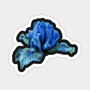 Blue iris flower Magnet