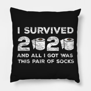I Survived 2020 And All I Got Was These Pair Of Socks Pillow