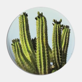 Cactus Pin