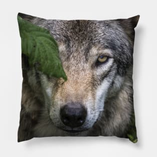 Timber Wolf Pillow