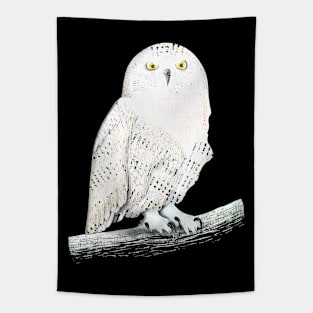 Snowy owl Tapestry