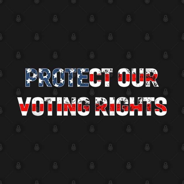 Protect Our Voting Rights by Attia17