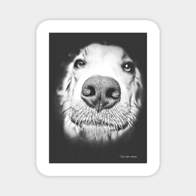 Man’s Best Friend – Black And White Magnet by davidbstudios