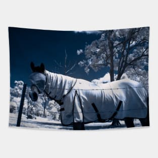 Snow Pony Tapestry