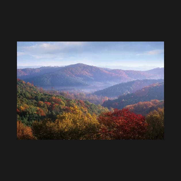 Autumn Deciduous Forest From The Blue Ridge Parkway North Carolina by RhysDawson