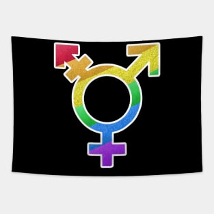 Rainbow Transgender Symbol Tapestry