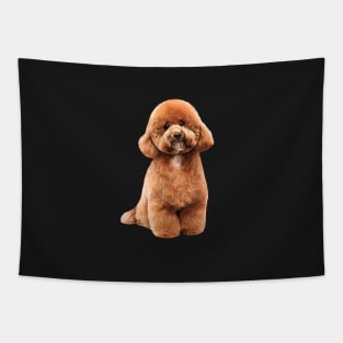 Toy Poodle Gorgeous Mini Dog Teddy Tapestry