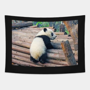 Cute Little Panda Tapestry