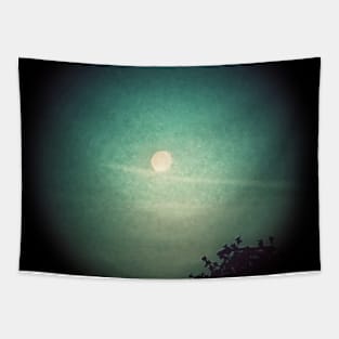 Spotlit Moon Tapestry