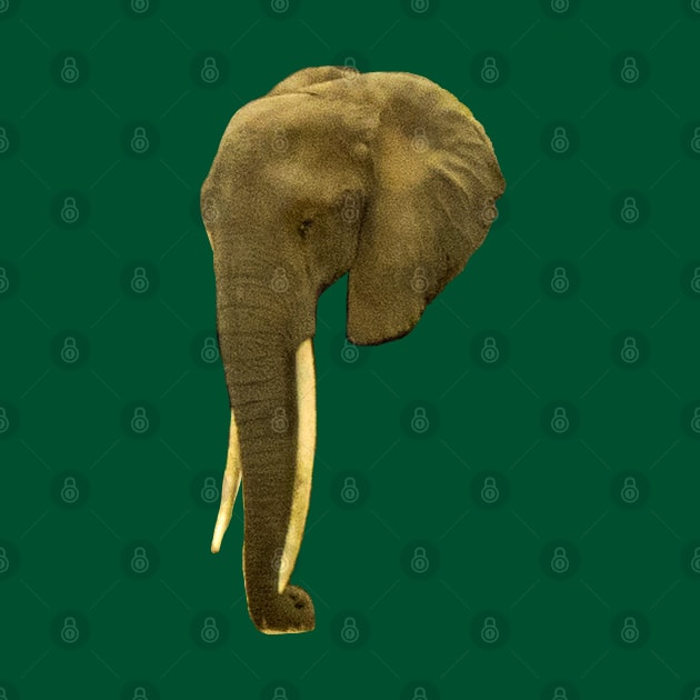 Portrait of an Elephant by ellenhenryart