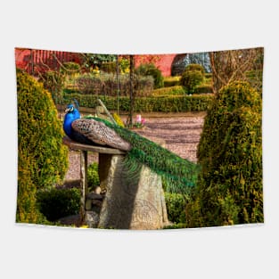 Peacock Time Tapestry