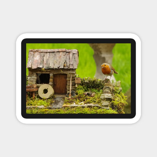 English country garden Robin Magnet by Simon-dell