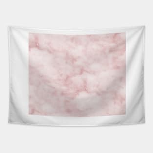 Sivec Rosa - cloudy pastel marble Tapestry