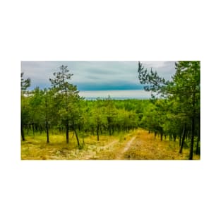 Landscape. Green forest, sea and blue sky. Clearing in the forest T-Shirt