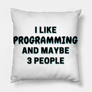 I Like Programming And Maybe 3 People Pillow