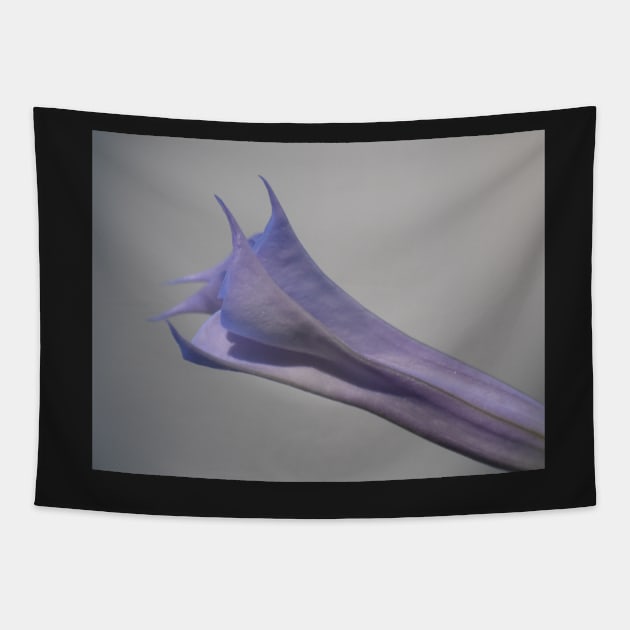 Datura Stramonium closing Tapestry by ToniaDelozier