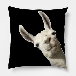 Llama Alpaca Party Cute Llama Lovers Picture Pillow