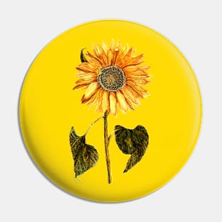 Sunflower, Dutch, Netherlands 17th Century Pin