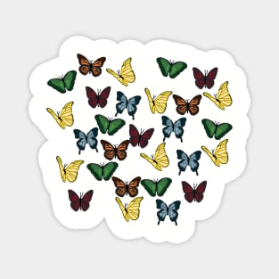 Red, Orange, Yellow, Green, and Blue Butterflies Magnet