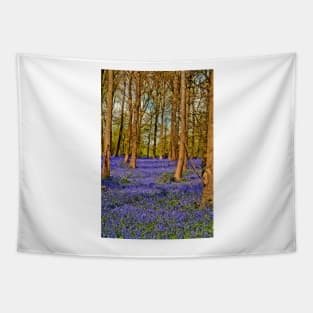 Bluebell Woods Greys Court Oxfordshire England Tapestry