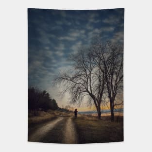 Lonely nomad Tapestry