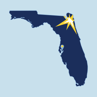 Rays T-Shirt - Tampa Bay Baseball by doctorheadly