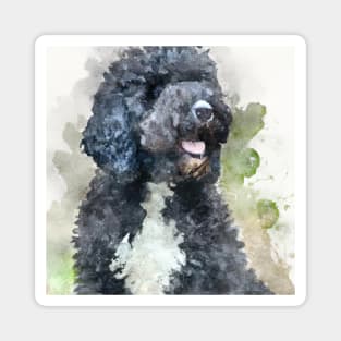 Portuguese Water Dog Watercolor Painting - Dog Lover Gifts Magnet