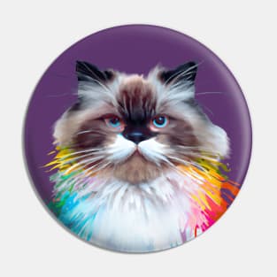 Himalayan Cat Rainbow Painting Pin