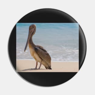 Brown Pelican Pin